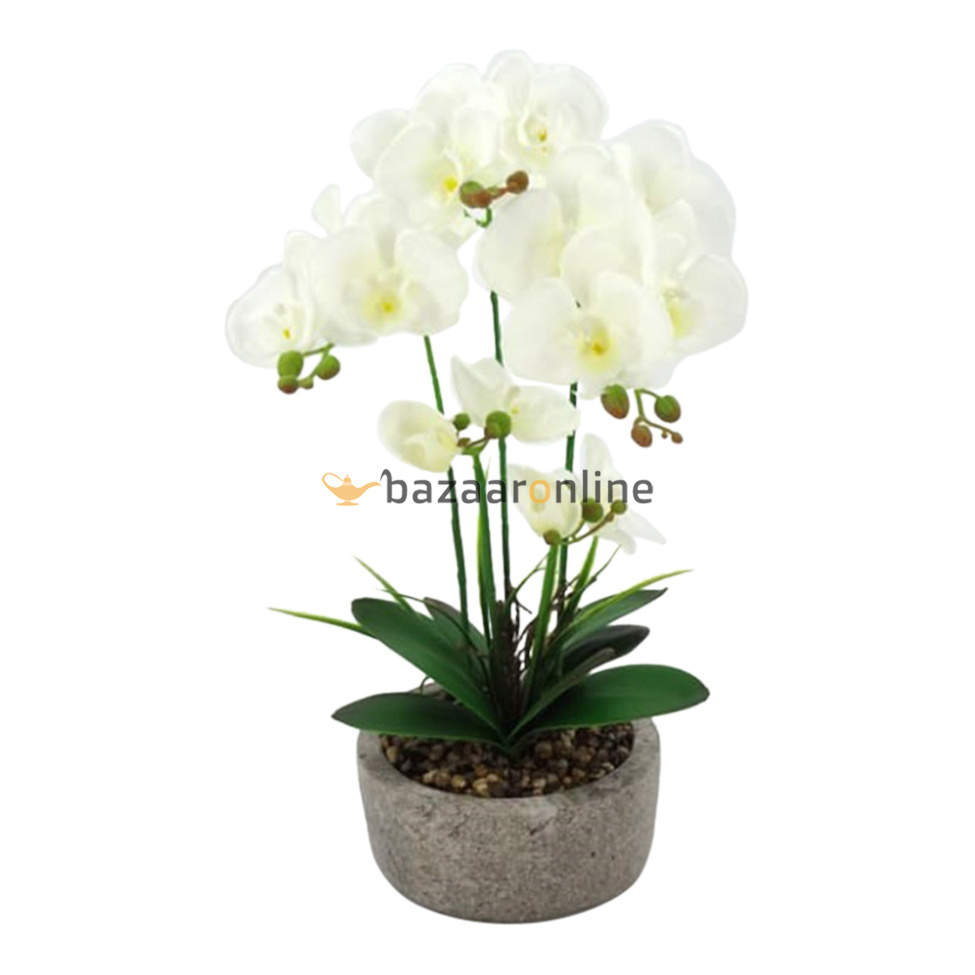 Pot - Orchidee - Wit - Cambria