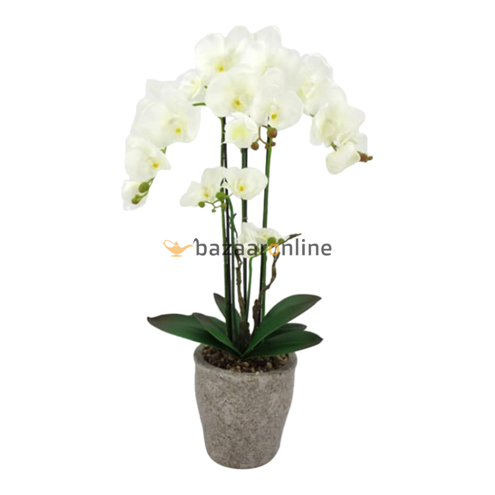 Pot - Orchidee - Wit - Milto