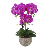 Pot - Orchidee - Paars - Vanda