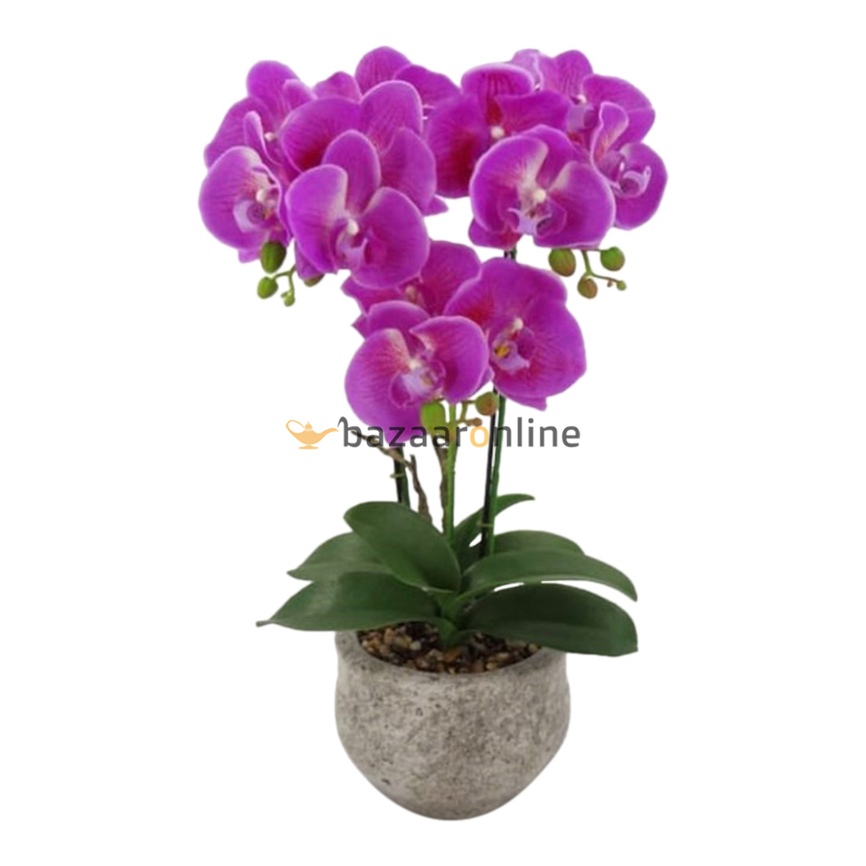 Pot - Orchidee - Paars - Vanda