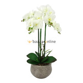 Pot - Orchidee - Wit - Vanda
