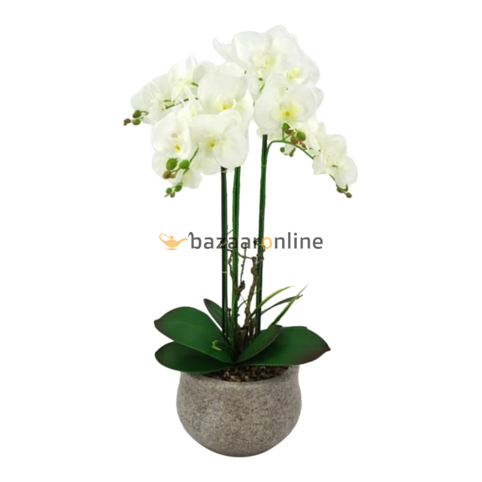 Pot - Orchidee - Wit - Vanda