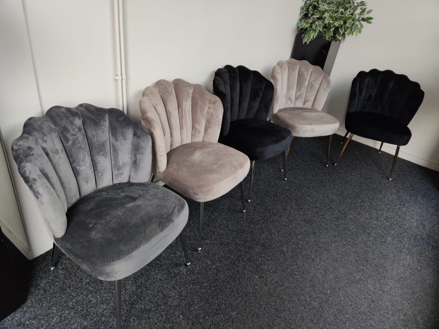 Schelpstoel Lyon Velvet Grijs / Zilver