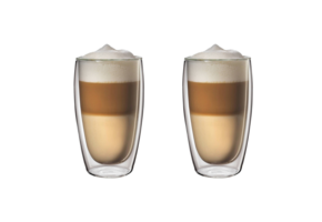 Dubbelwandige glazen 450 ml - 2 stuks