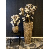 Opgemaakte Schelpenvaas met witte magnolia's struik