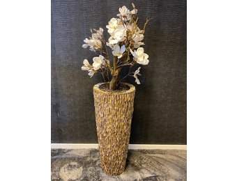 Opgemaakte Schelpenvaas met witte magnolia's struik