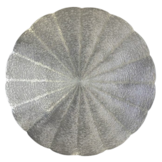 Placemat naam Zilver ø 35 cm