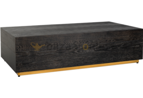Black Bonito - Bloktafel - Goud - visgraat look - 130 x 70 cm