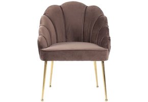 Eetkamerstoel Emillia Goud | Bruin stof