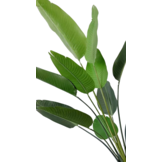 Kunst Bananenplant 180 cm