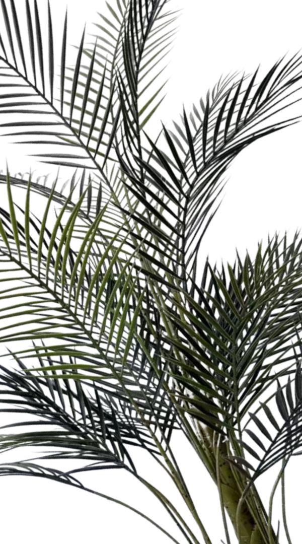 Kunstpalm Kentia 150 cm