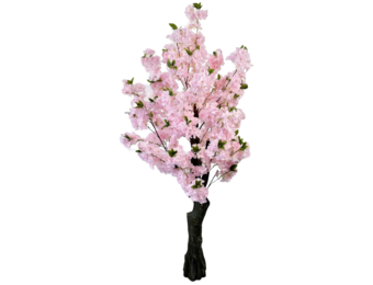 Kunst bloesemboom Madelief 170 cm - Lichtroze - Groot