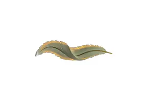 Wandlamp - Feather - LED