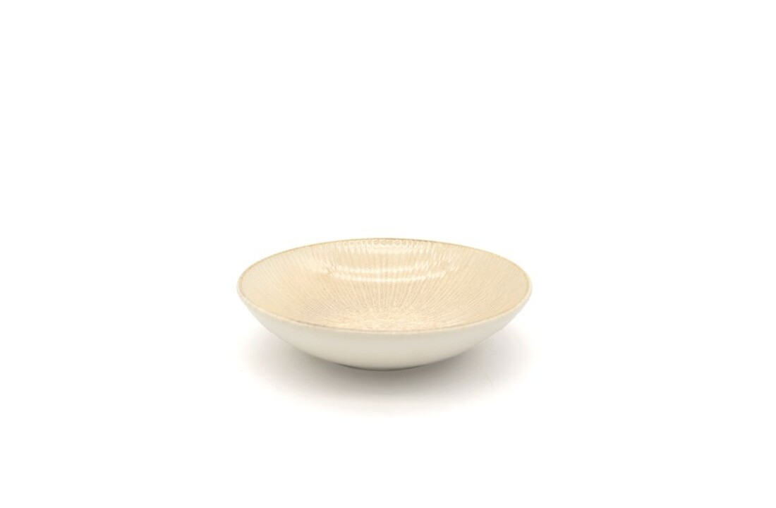 Bricard Amilly serviesset 25 delig Crème | 6 persoons