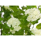 Kunsthortensia Boom 140 cm - Wit