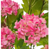 Kunsthortensia Boom 65 cm - Donkerroze