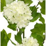 Kunsthortensia Boom 65 cm - Wit