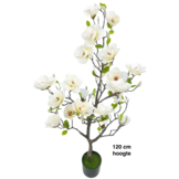 Kunstmagnolia Boom 120 cm