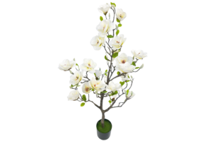 Kunstmagnolia Boom 120 cm