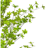 Kunstboom Tropaeolum | Japan Bell - 140 cm