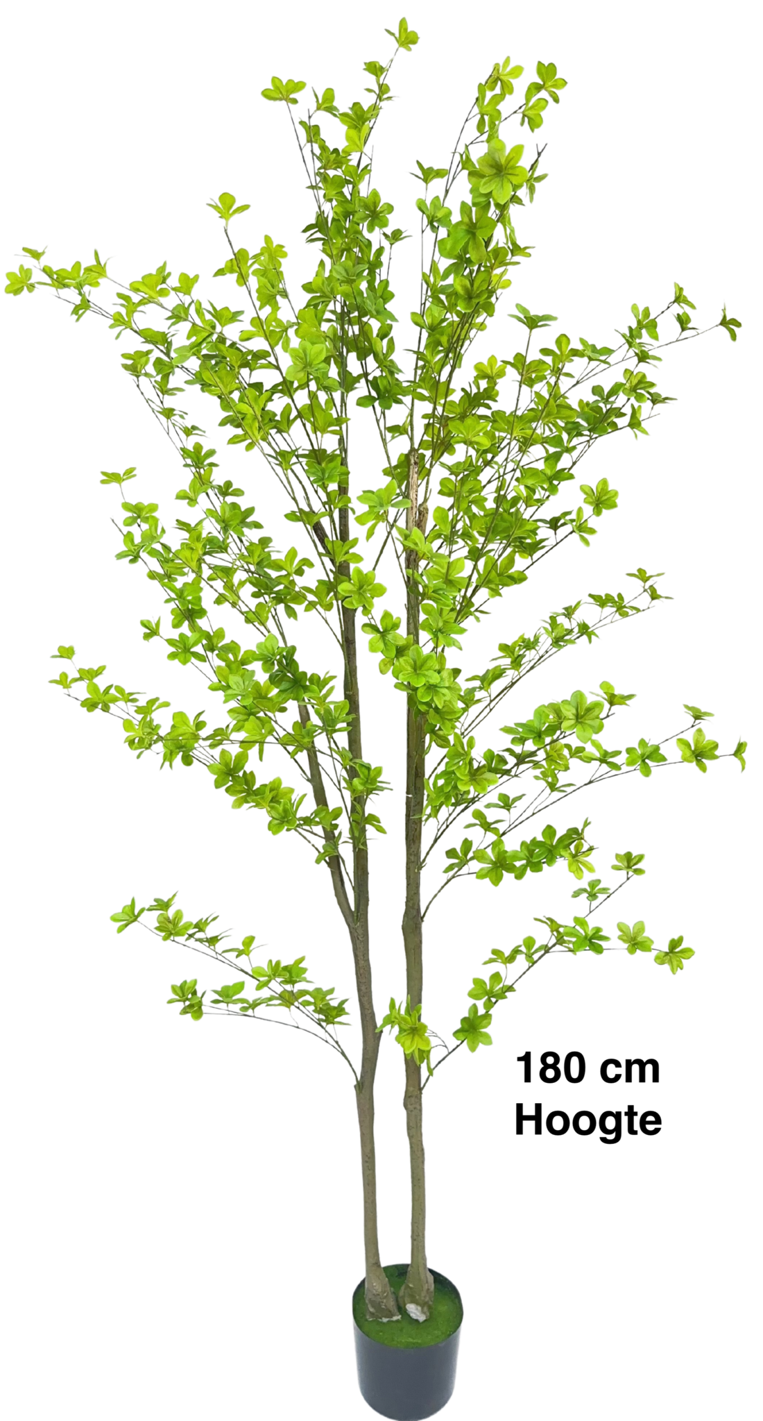 Kunstboom Tropaeolum | Japan Bell - 180 cm