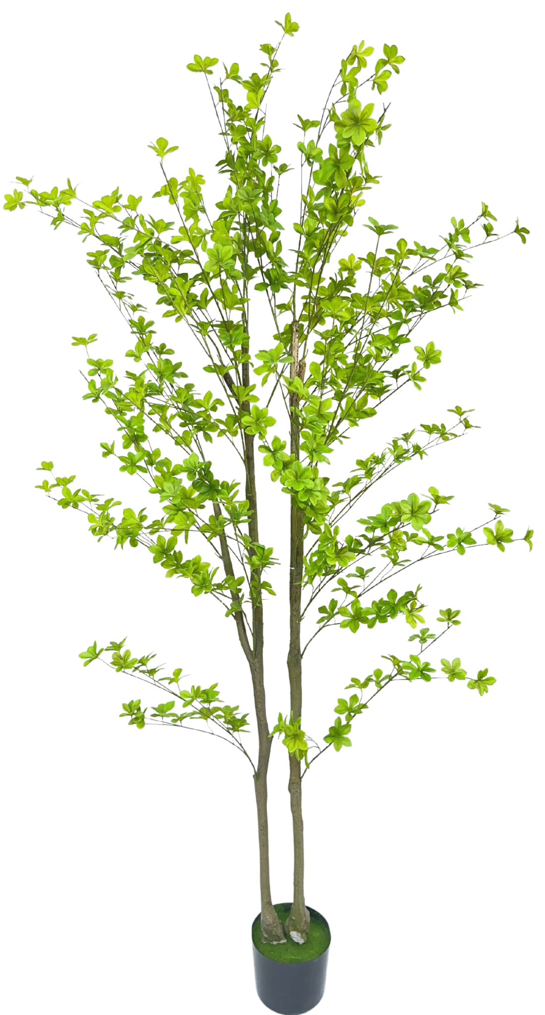 Kunstboom Tropaeolum | Japan Bell - 180 cm