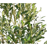 Kunstolijfboom 140 cm