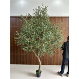 Kunstolijfboom 280 cm