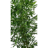 Kunst Bamboe boom 150 cm