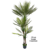 Kunst Phoenix Palm Boom 170 cm - 3 stammen