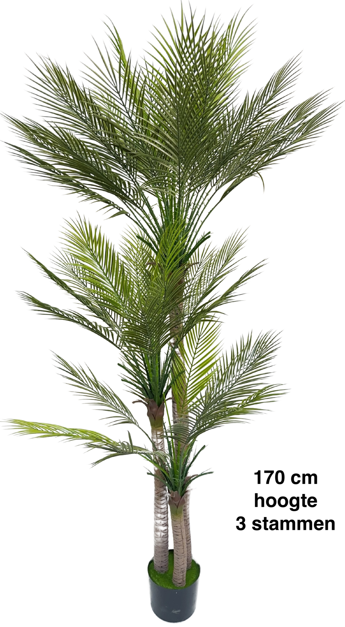 Kunst Phoenix Palm Boom 170 cm - 3 stammen