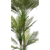 Kunst Phoenix Palm Boom 170 cm - 3 stammen
