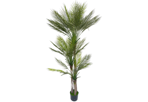 Kunst Phoenix Palm Boom 170 cm - 3 stammen