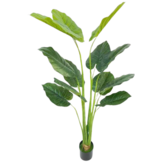 Kunst Strelitzia Boom - 160 cm - New