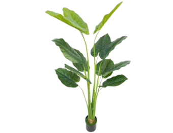 Kunst Strelitzia Boom - 160 cm - New