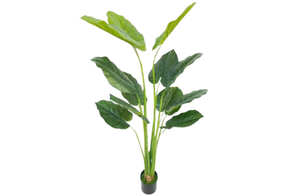 Kunst Strelitzia Boom - 160 cm - New