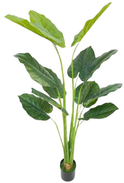 Kunst Strelitzia Boom - 160 cm - New