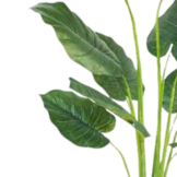 Kunst Strelitzia Boom - 160 cm - New