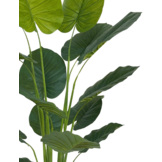 Kunst Strelitzia Boom - 180 cm - New