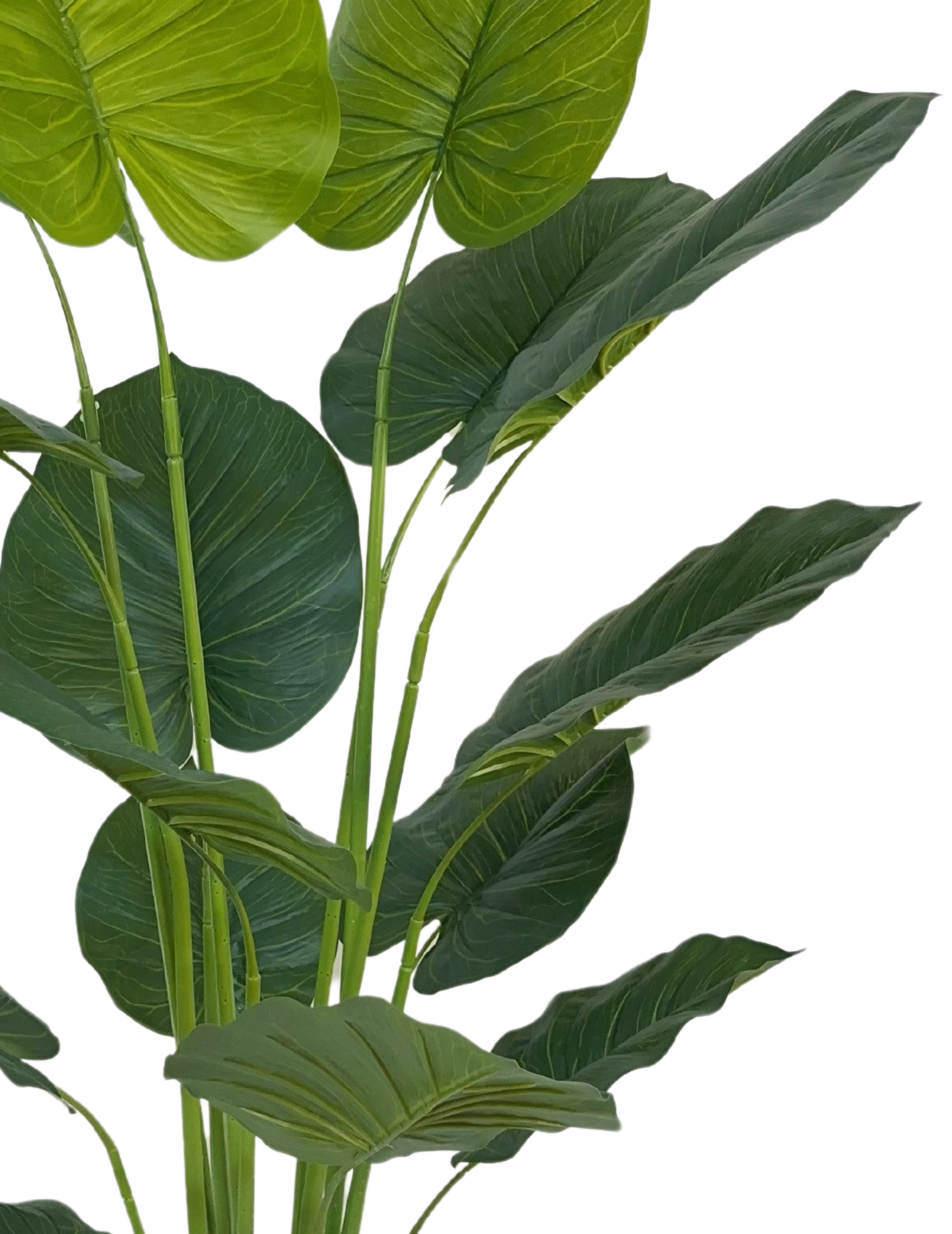 Kunst Strelitzia Boom - 180 cm - New