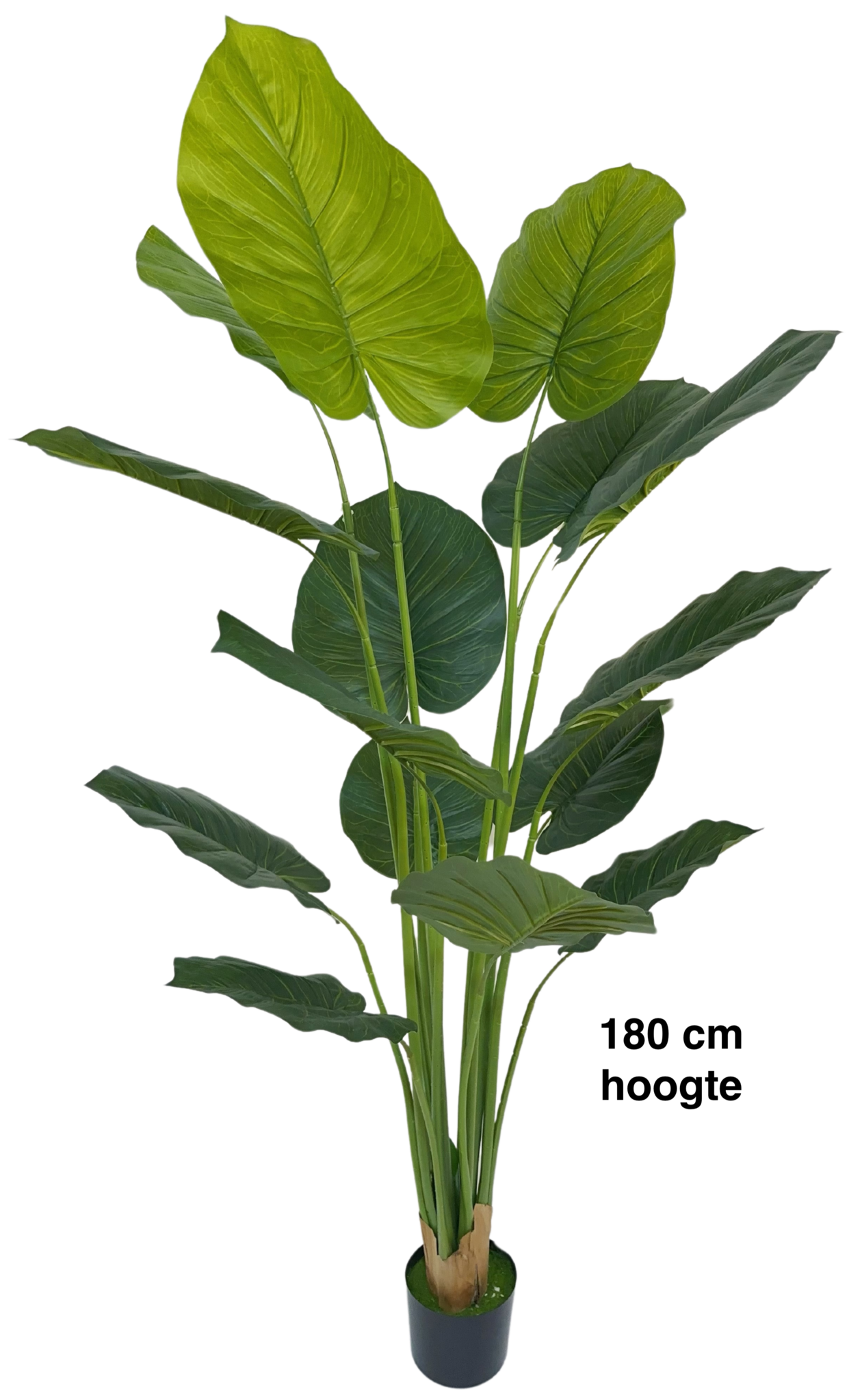 Kunst Strelitzia Boom - 180 cm - New