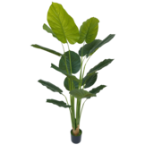 Kunst Strelitzia Boom - 180 cm - New