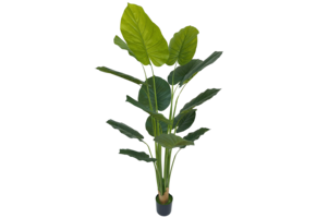 Kunst Strelitzia Boom - 180 cm - New