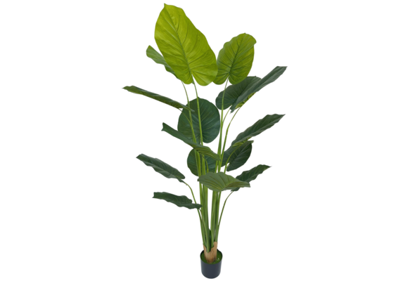 Kunst Strelitzia Boom - 180 cm - New