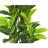 Kunst Rubberplant 135 cm