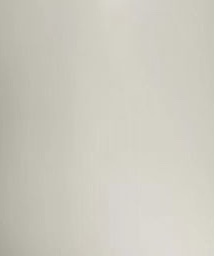 Vaas Nela | Mat Cream