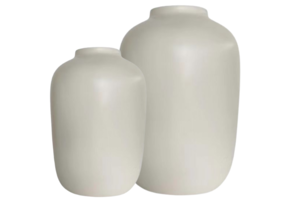 Vaas Nela | Mat Cream