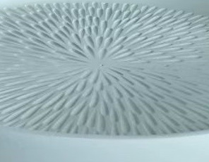 Decoratieschaal Alma | Mat Wit