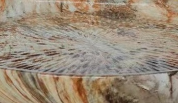 Decoratieschaal Alma | Bruin Marmer