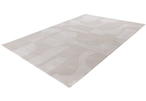 Elif 405 | Vloerkleed Japandi Stijl - Zilver